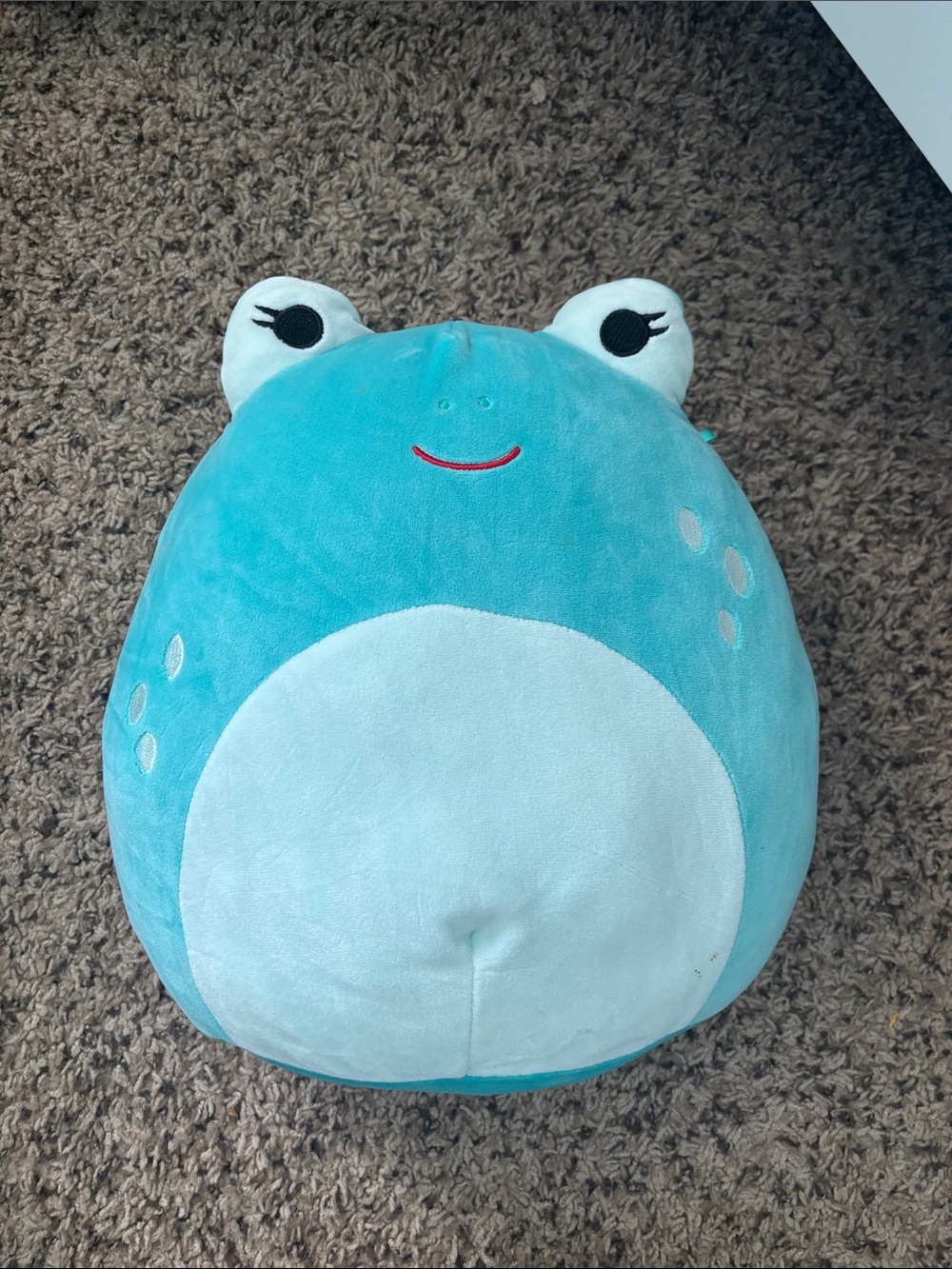 Squishmallows Teal Frog Plush with White Belly